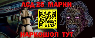 стаф Аргун