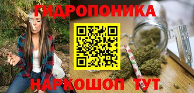 стаф Аргун