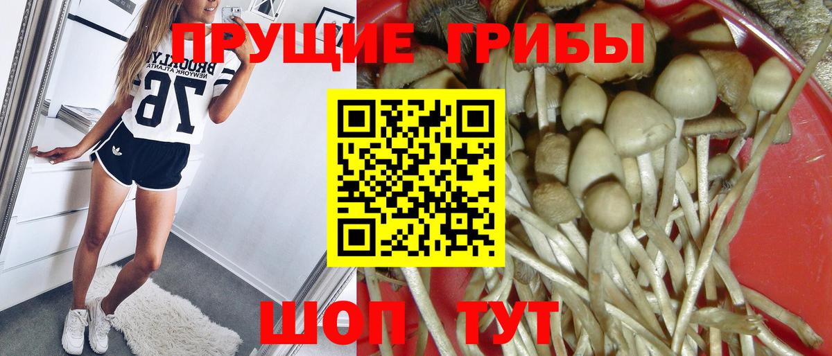 Галлюциногенные грибы мухоморы Баксан